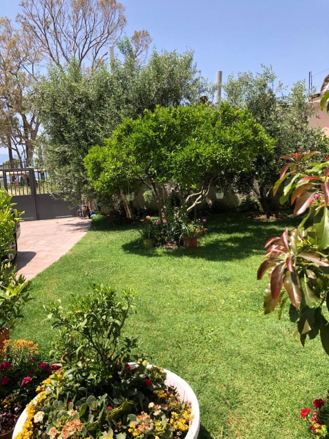ホテル Olive House. Vlorë エクステリア 写真